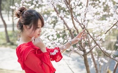 鲍鱼最新地域网名2021